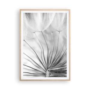 Poster in einem Rahmen aus heller Eiche - Löwenzahn, Drachen - 70x100 cm