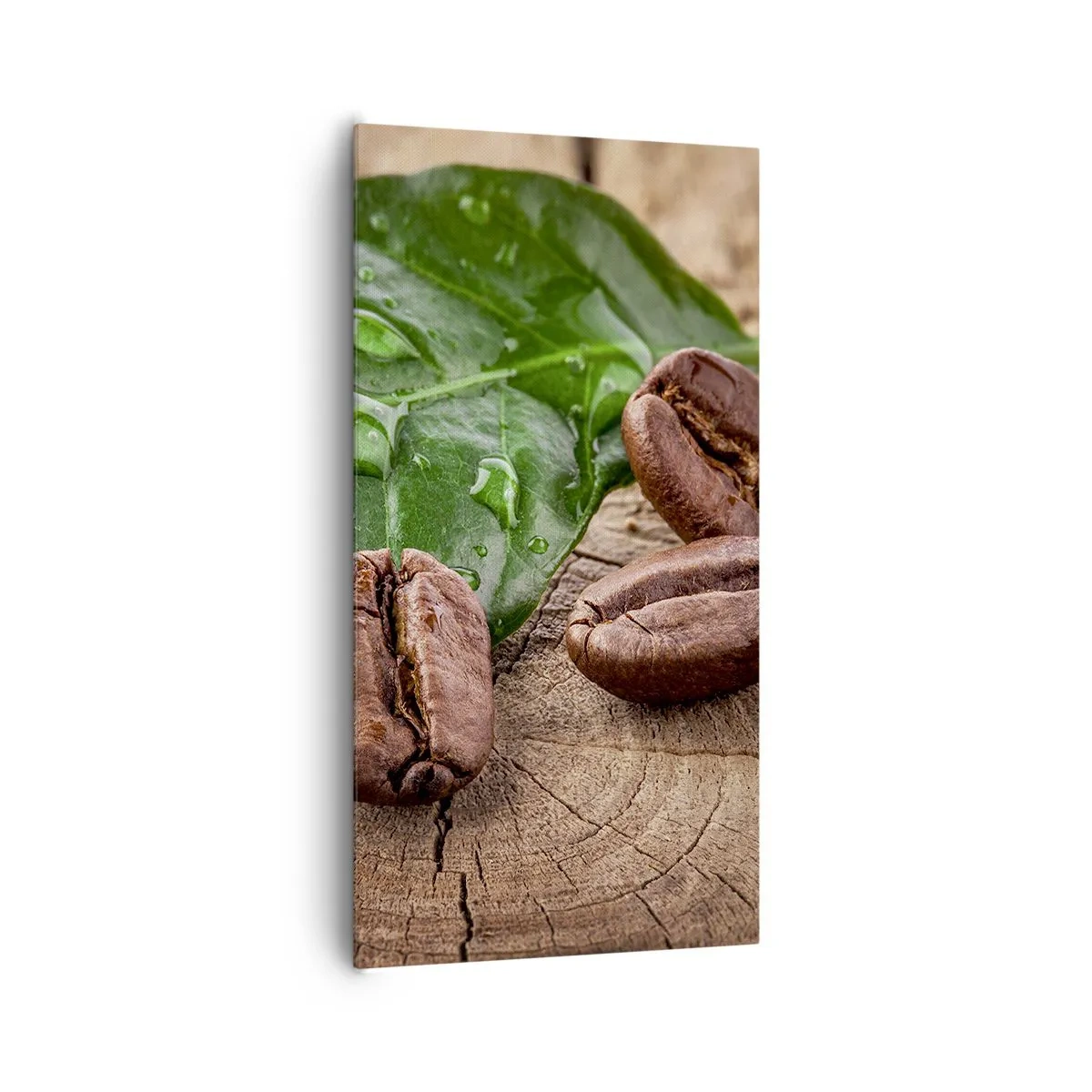 Bild auf Leinwand - Leinwandbild - Der wahrste und schwarze - 65x120 cm