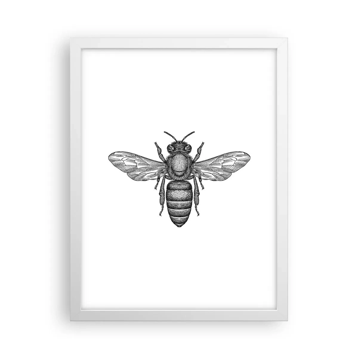 Poster in einem weißen Rahmen - Insektenporträt - 30x40 cm