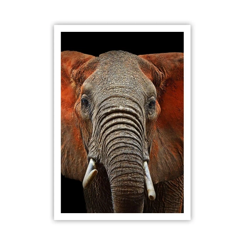 Poster - Ich bin wild und du? - 70x100 cm