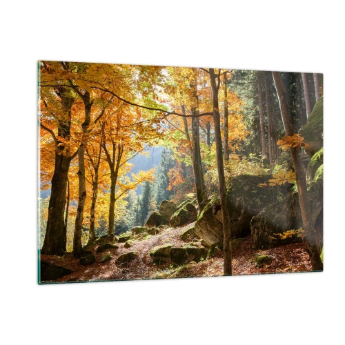 Glasbild - Bild auf glas - Herbstwald mit Sonnenstrahlen und Steinen - 120x80cm - Zeit zum Entspannen - Moderne Wanddekoration für Wohnzimmer und Schlafzimmer ARTTOR