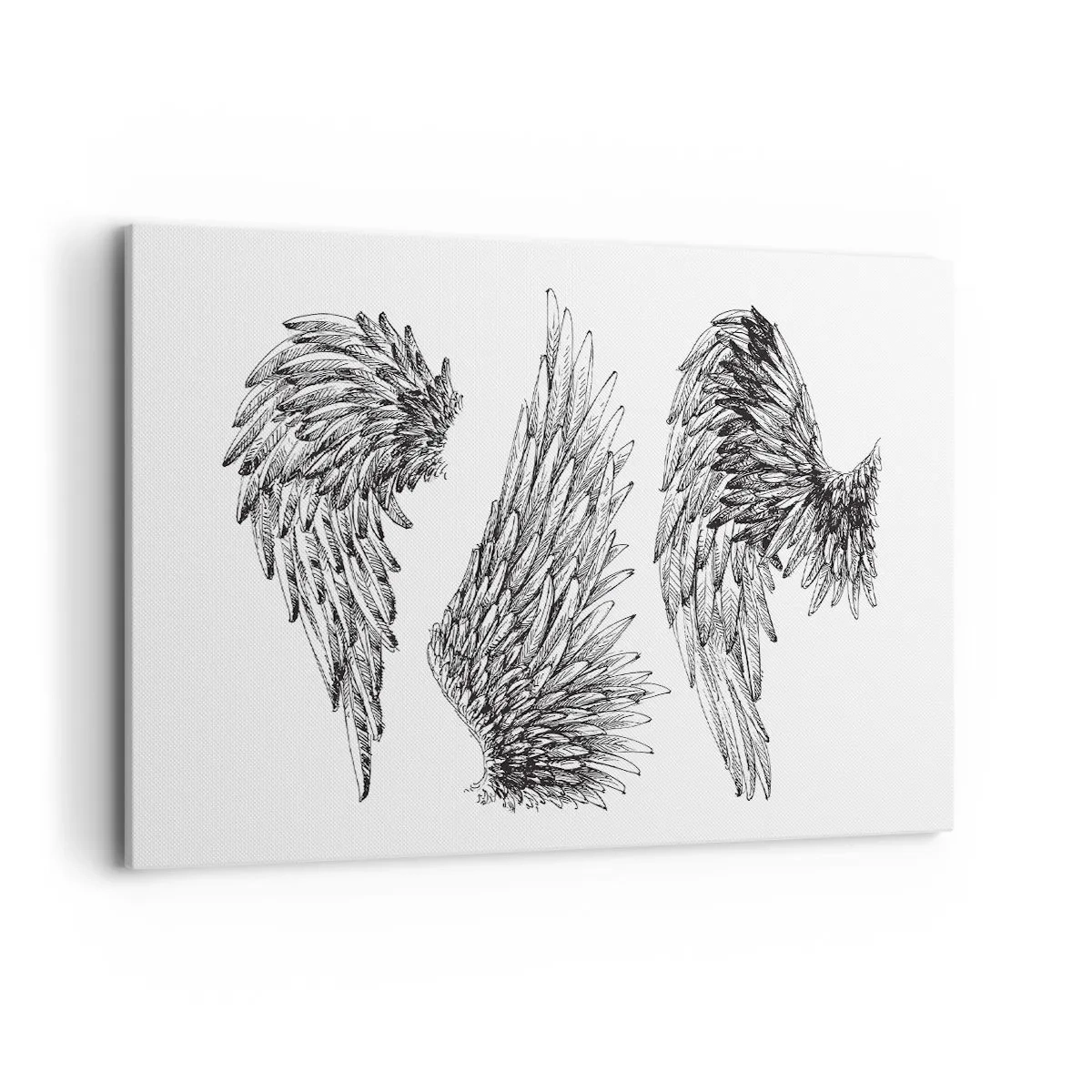 Bild auf Leinwand - Leinwandbild - Drei schwarz-weiße Skizzen von Flügeln im minimalistischen Stil. - 100x70cm - Und du kannst ein Engel werden - Moderne Wanddekoration für Wohnzimmer und Schlafzimmer ARTTOR