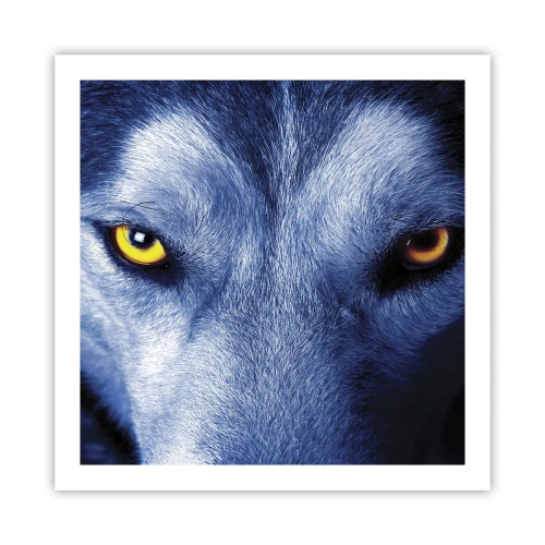 Poster - Faszinierender Blick - 60x60 cm