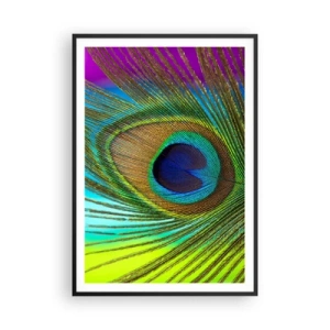Poster in einem schwarzem Rahmen - Auge in Auge - 70x100 cm