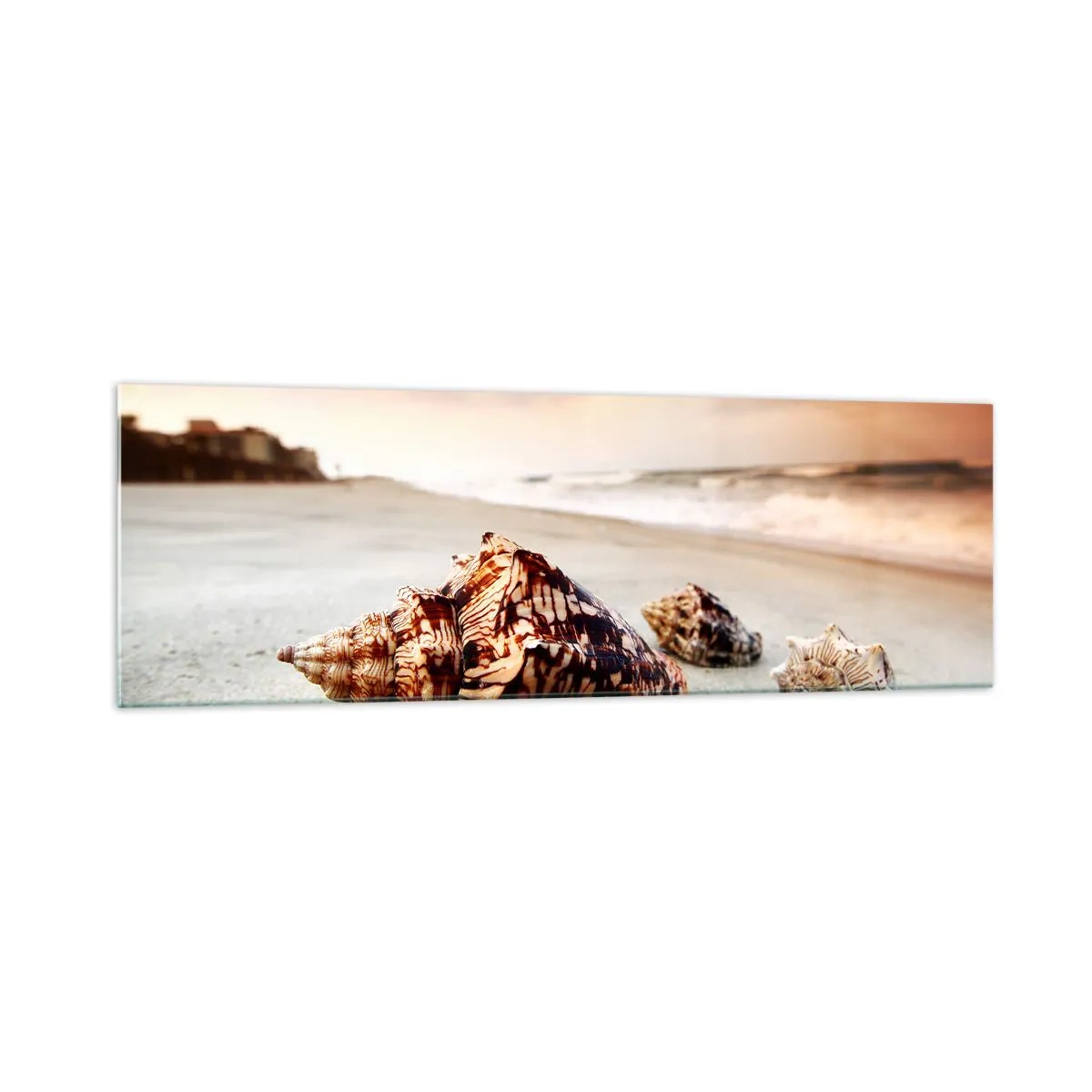 Glasbild - Bild auf glas - Muscheln am Strand bei Sonnenuntergang - 160x50cm - Ausgestoßene von Wellen - Moderne Wanddekoration für Wohnzimmer und Schlafzimmer ARTTOR