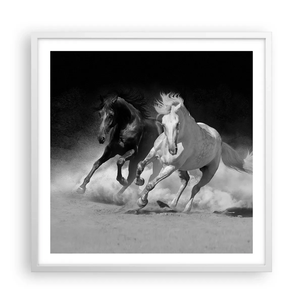 Poster in einem weißen Rahmen - Galopp der Freiheit - 60x60 cm