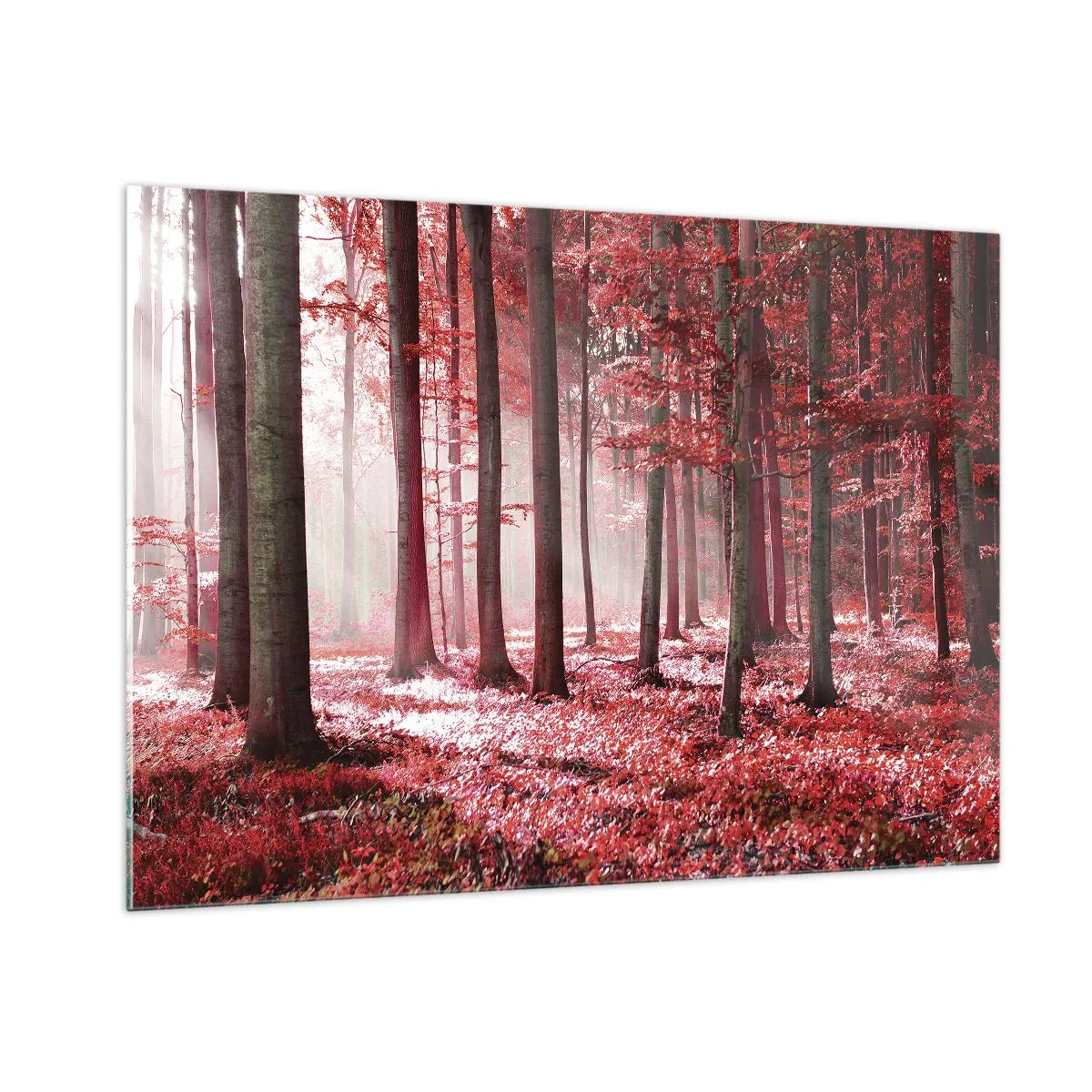 Glasbild - Bild auf glas - Herbstwald in roten Farben und Morgennebel - 100x70cm - Rot ist genauso schön - Moderne Wanddekoration für Wohnzimmer und Schlafzimmer ARTTOR