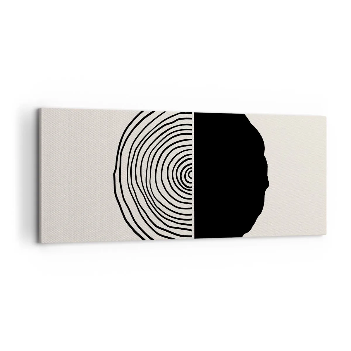 Bild auf Leinwand - Leinwandbild - Halb und halb - 100x40 cm