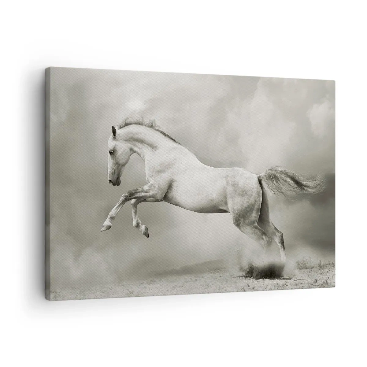 Bild auf Leinwand - Leinwandbild - Ein weißes Pferd in einem dynamischen Sprung vor dem Hintergrund nebliger Wolken. - 70x50cm - Zwischen Aufwachen und Schlafen - Moderne Wanddekoration für Wohnzimmer und Schlafzimmer ARTTOR