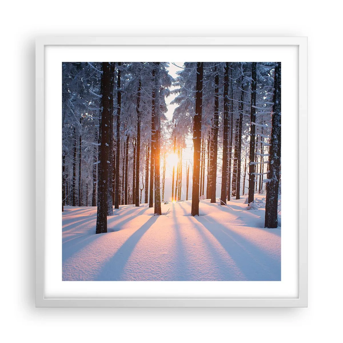 Poster in einem weißen Rahmen - Ganz klar schwarz auf weiß - 50x50 cm