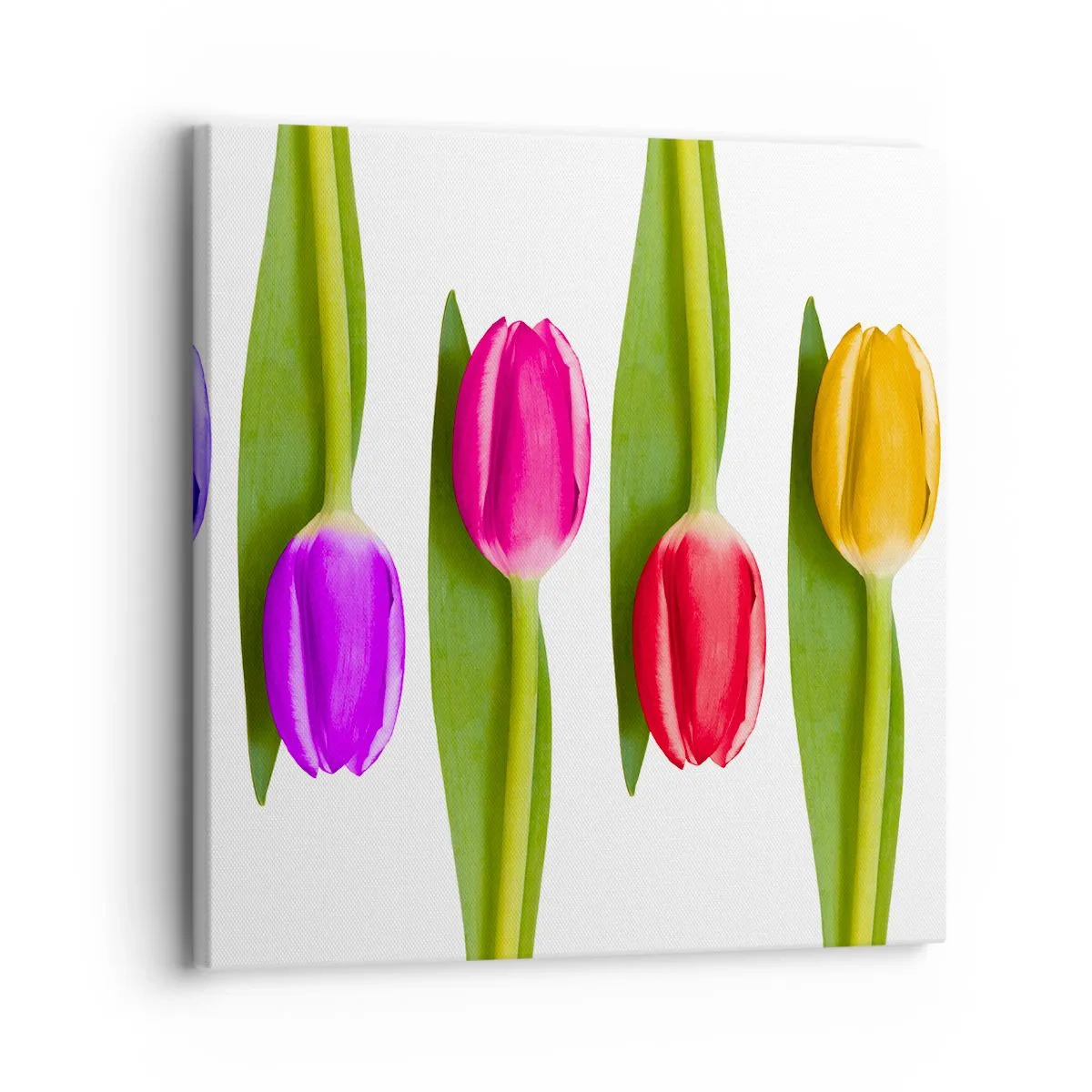 Bild auf Leinwand - Leinwandbild - Regenbogenkomposition - 30x30 cm