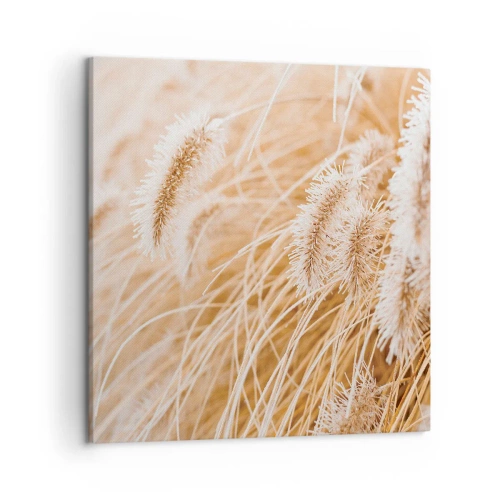 Bild auf Leinwand - Leinwandbild - Das goldene Rauschen des Grases - 50x50 cm