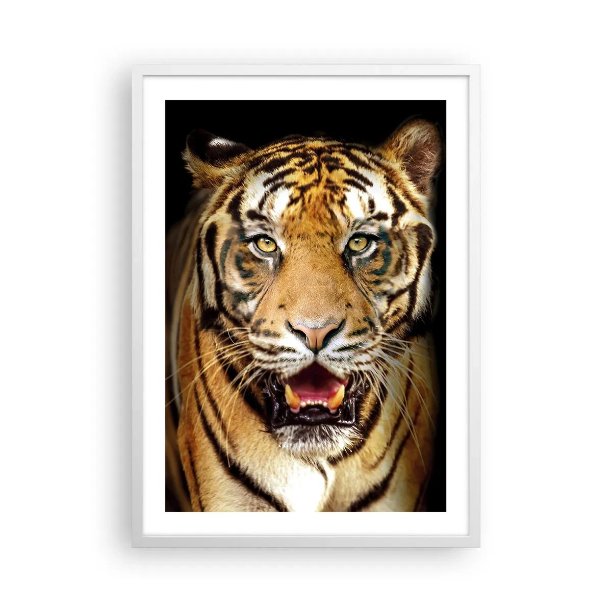 Poster in einem weißen Rahmen - Wild im Herzen - 50x70 cm