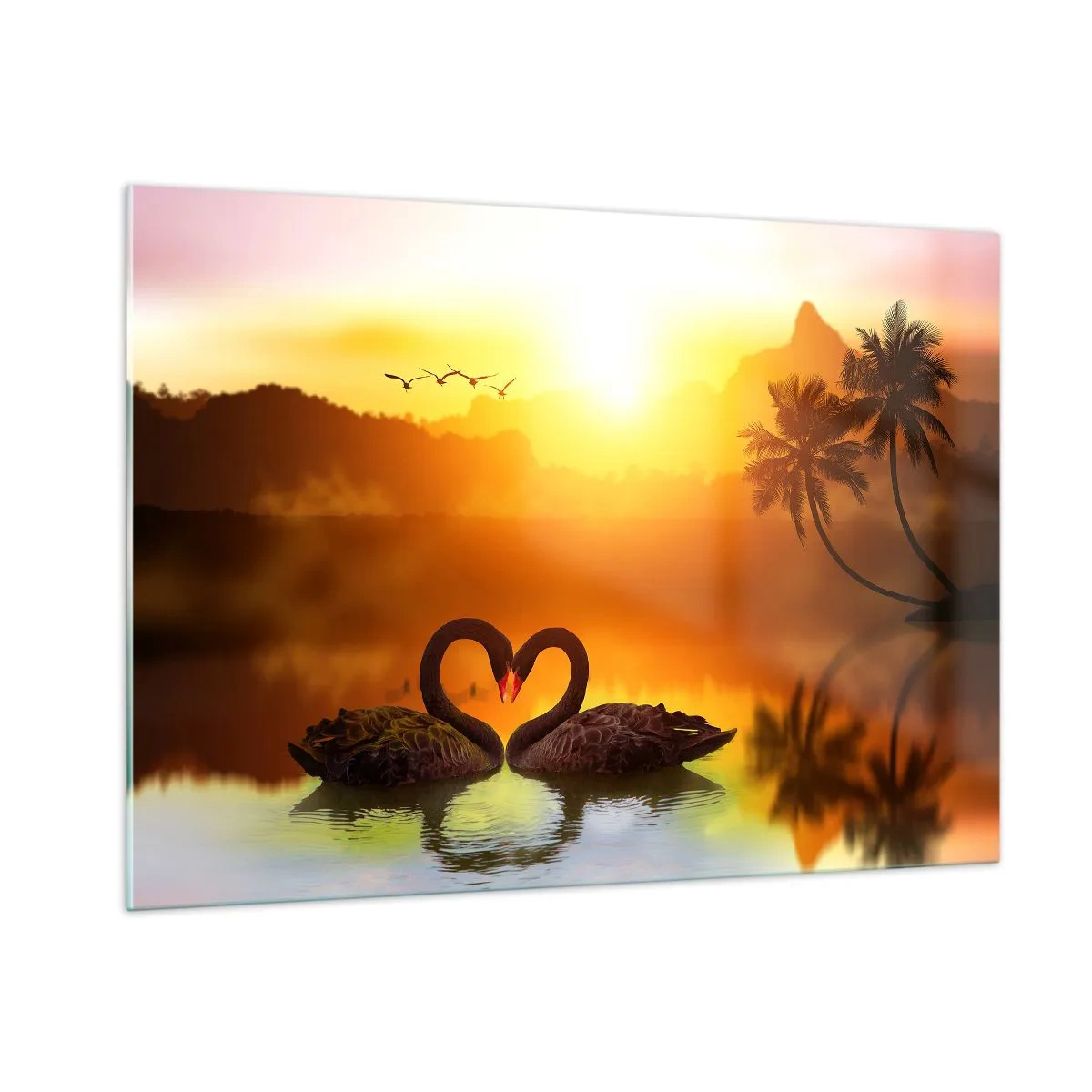 Glasbild - Bild auf glas - Schwarze Schwäne auf dem See bei Sonnenuntergang - 100x70cm - Alles passt zusammen - Moderne Wanddekoration für Wohnzimmer und Schlafzimmer ARTTOR