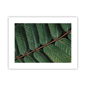 Poster - Im grünen Rhythmus - 40x30 cm