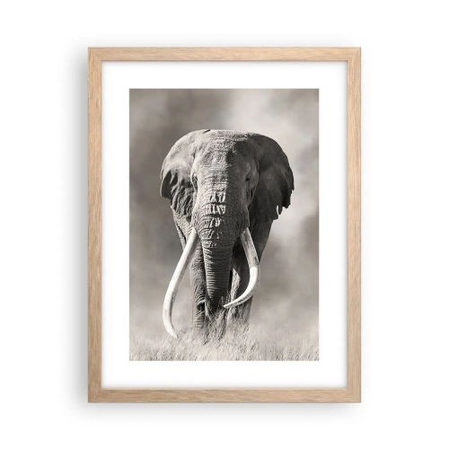 Poster in einem Rahmen aus heller Eiche - Afrikanischer Patriarch - 30x40 cm