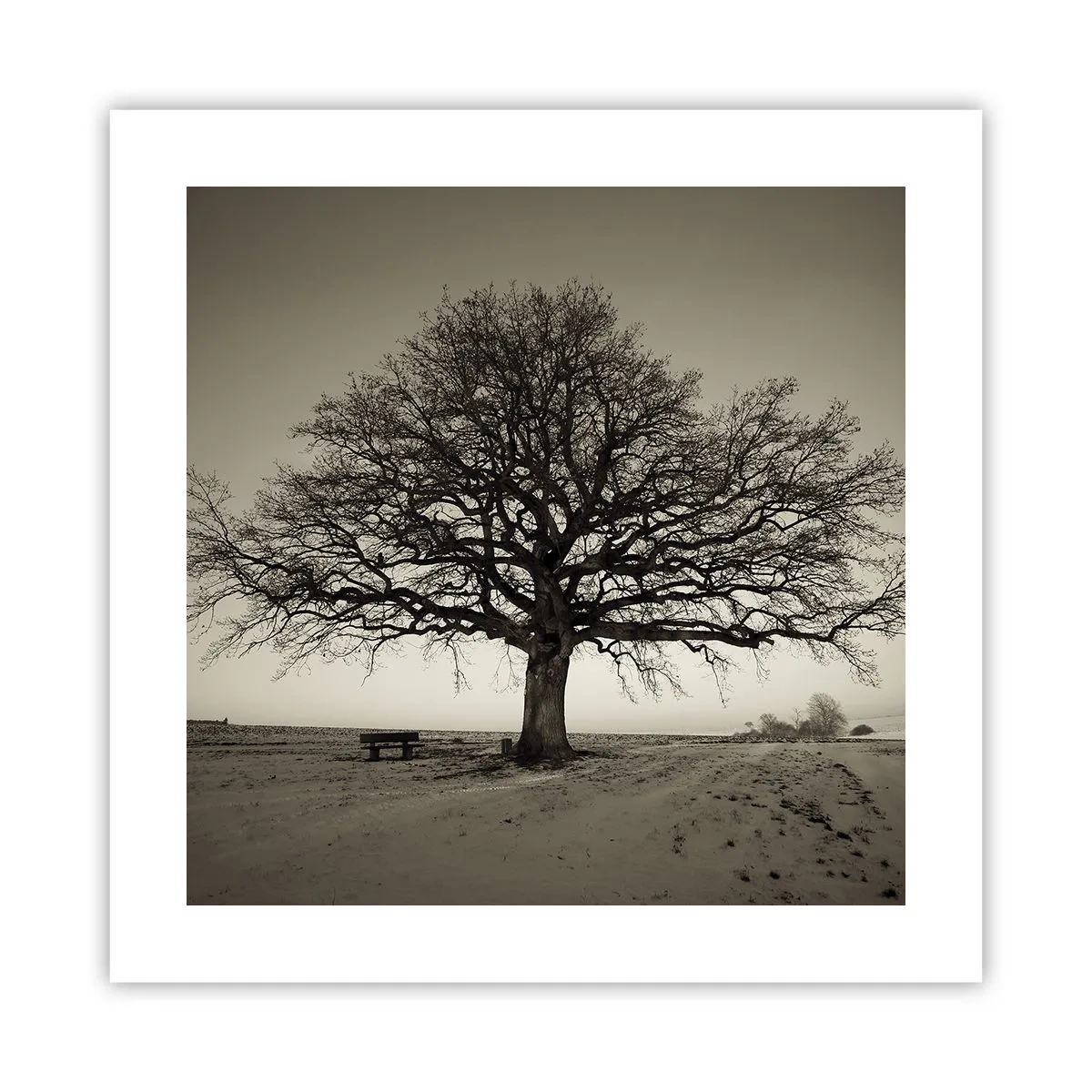 Poster - Von hier zu Ewigkeit - 40x40 cm