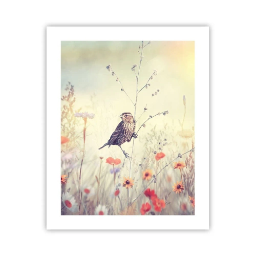 Poster - Vogelporträt mit einer Wiese im Hintergrund - 40x50 cm