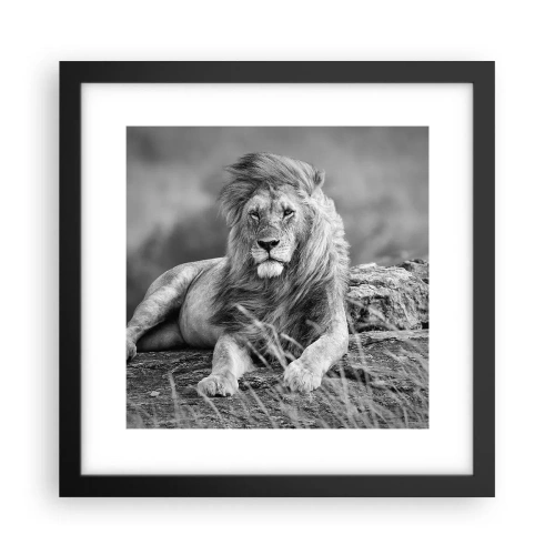 Poster in einem schwarzem Rahmen - Königliche Siesta - 30x30 cm