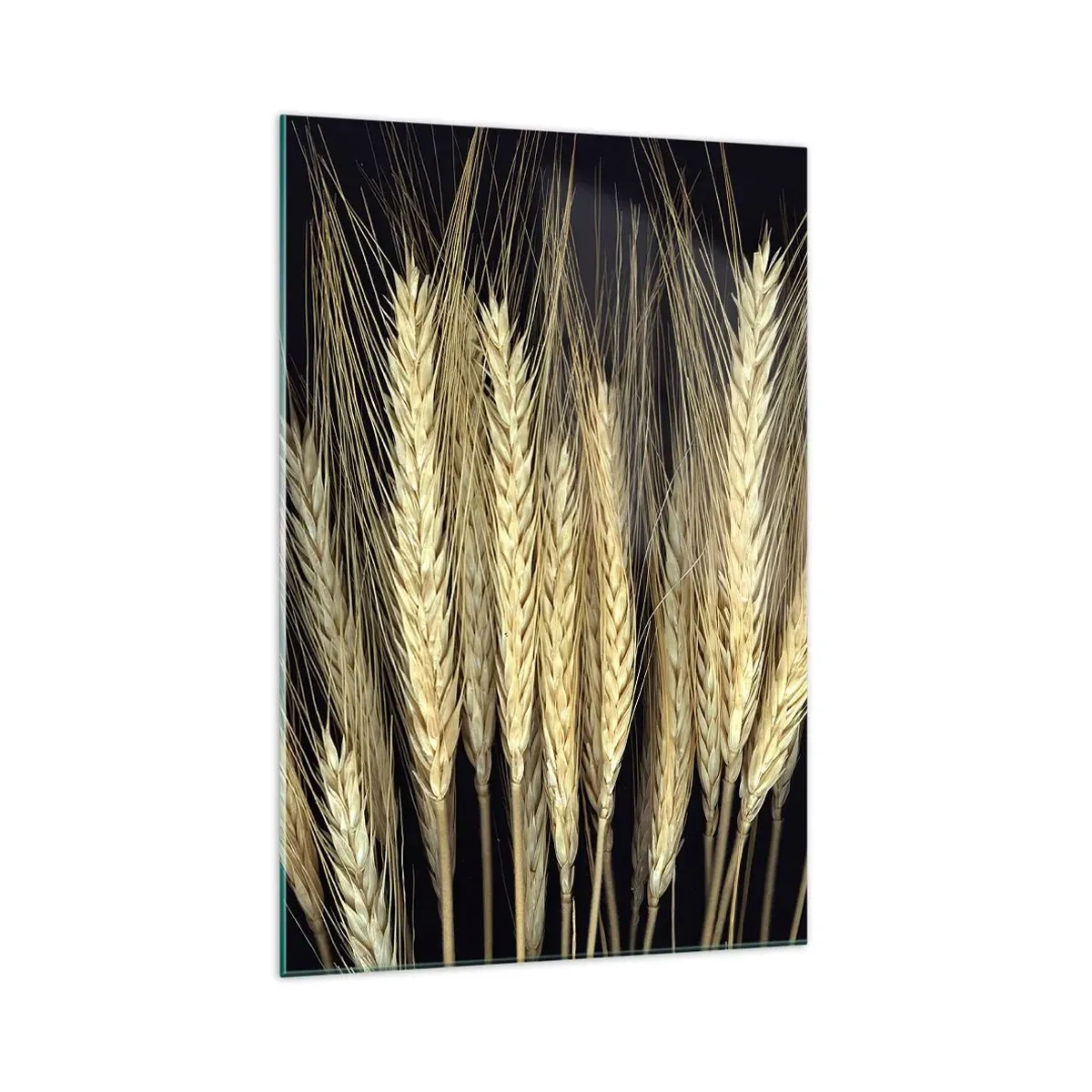 Glasbild - Bild auf glas - Weizenähren auf schwarzem Hintergrund im rustikalen Stil - 70x100cm - Rustikale Magie - Moderne Wanddekoration für Wohnzimmer und Schlafzimmer ARTTOR