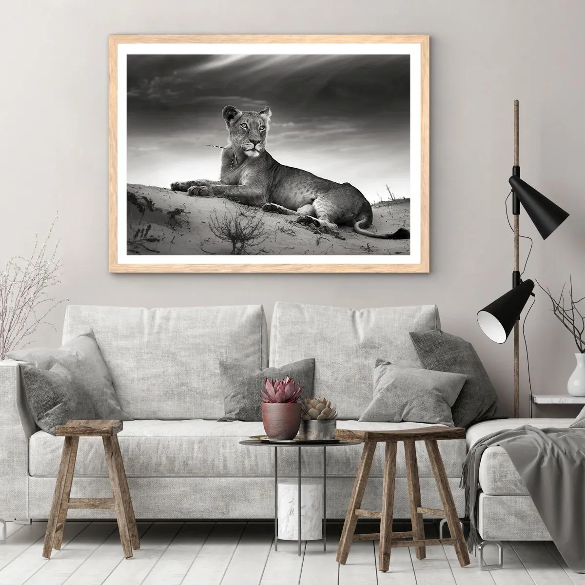 Poster in einem Rahmen aus heller Eiche - Die Königin der Wüstenruhe - 70x50 cm