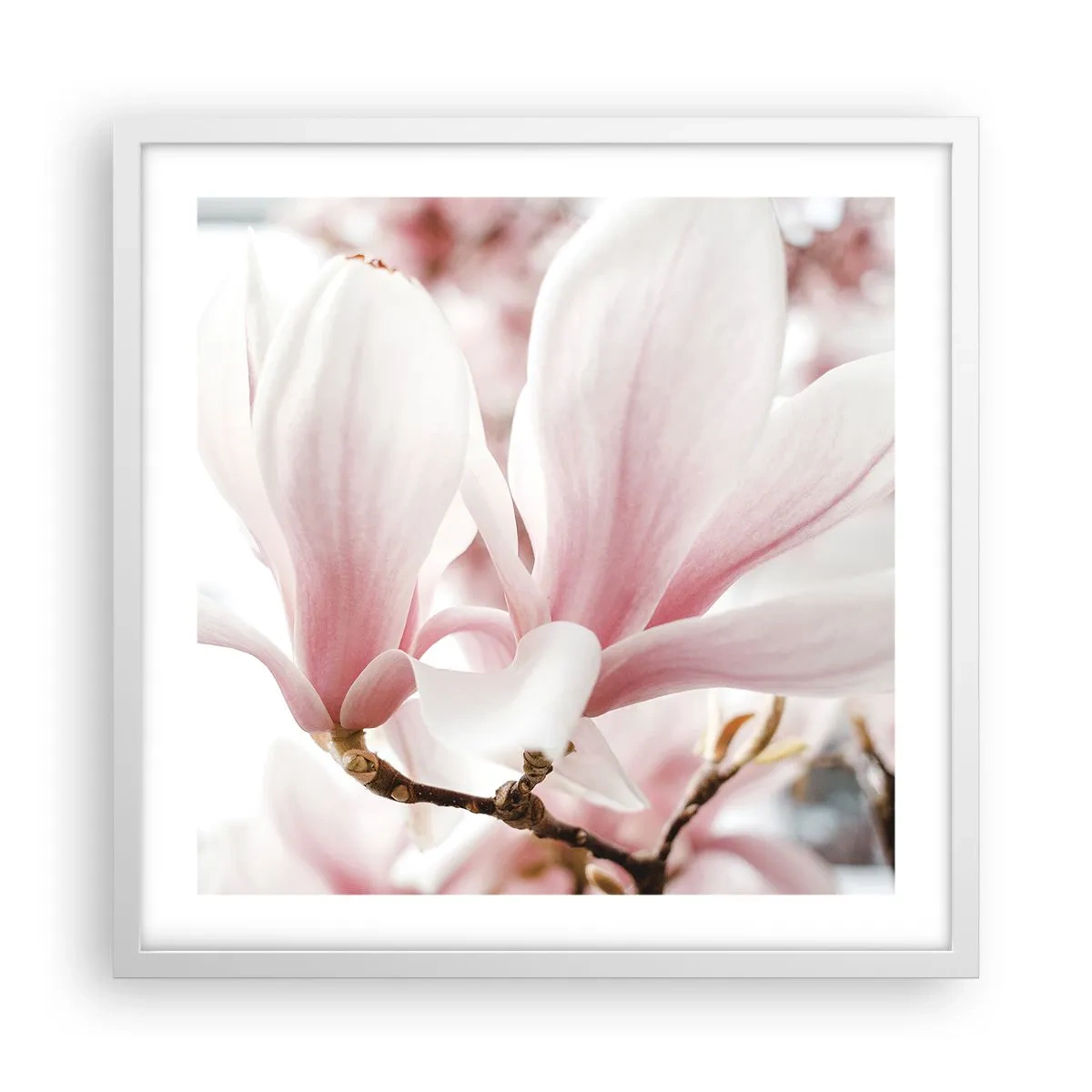 Poster in einem weißen Rahmen - Eine Fülle von Zärtlichkeit - 50x50 cm