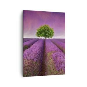 Bild auf Leinwand - Leinwandbild - Ein Lavendelfeld mit einem einsamen Baum und einem violetten Himmel - 50x70cm - Auf Lavendelfeldern - Moderne Wanddekoration für Wohnzimmer und Schlafzimmer ARTTOR
