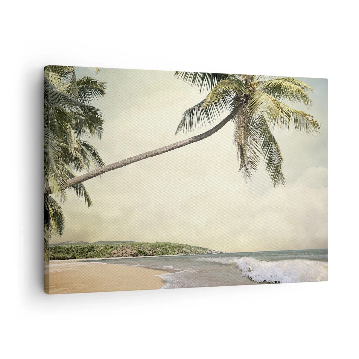 Bild auf Leinwand - Leinwandbild - Ein Strand mit Palmen vor der Kulisse eines ruhigen Meeres - 70x50cm - Tropischer Traum - Moderne Wanddekoration für Wohnzimmer und Schlafzimmer ARTTOR