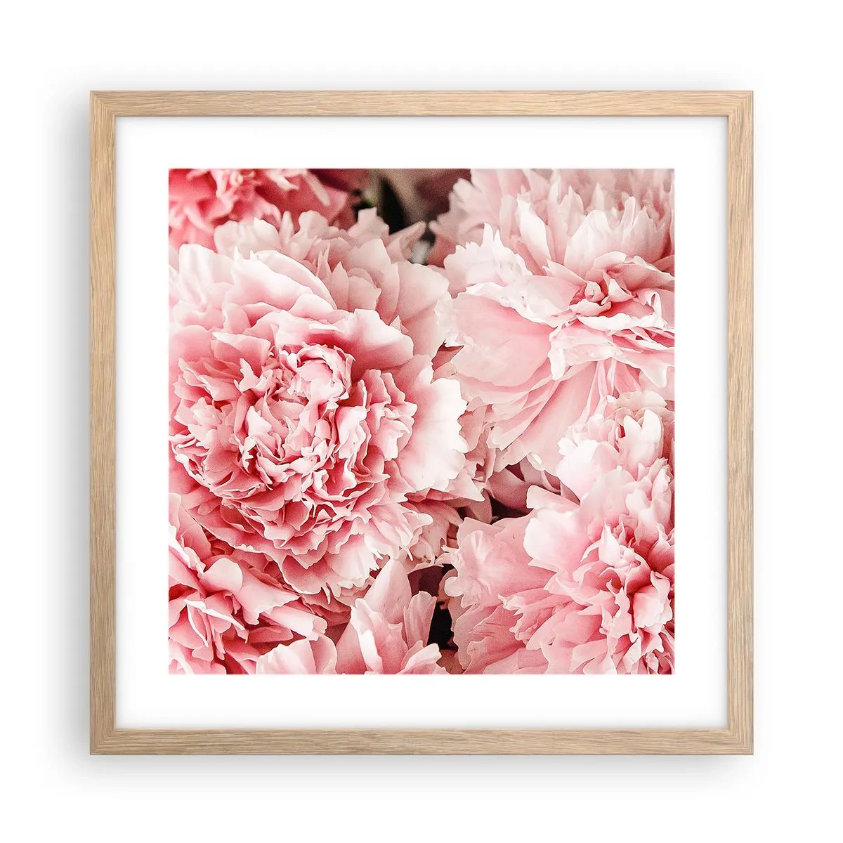 Poster in einem Rahmen aus heller Eiche - Rosa Traum - 40x40 cm