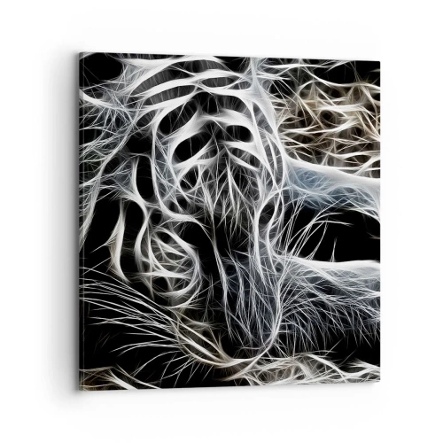 Bild auf Leinwand - Leinwandbild - Eine Studie über die Leichtigkeit der Katze - 70x70 cm