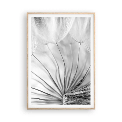 Poster in einem Rahmen aus heller Eiche - Löwenzahn, Drachen - 70x100 cm