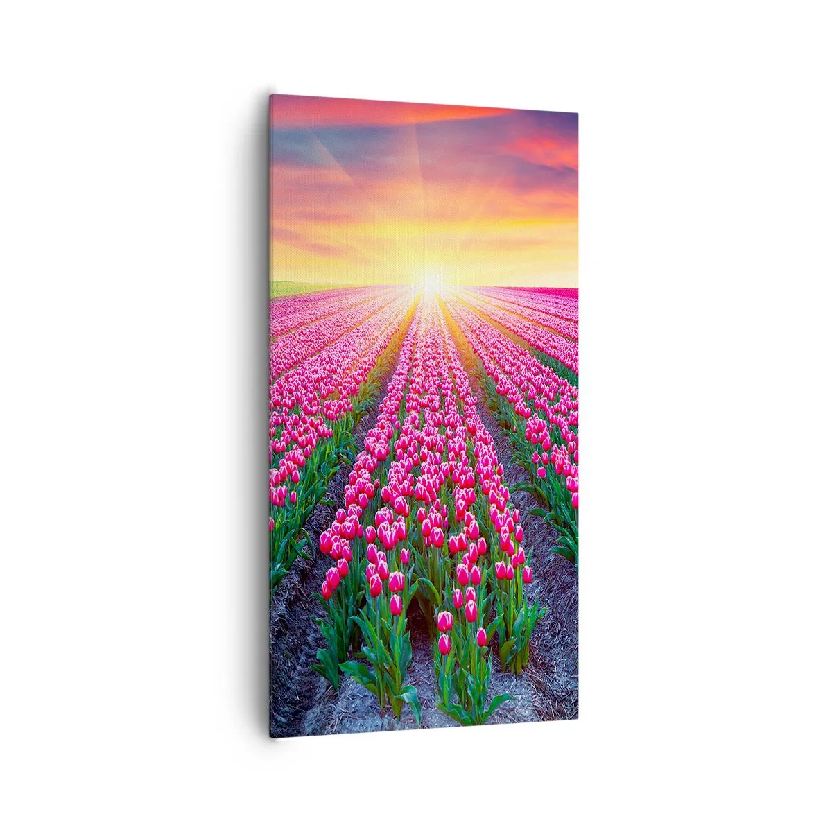 Bild auf Leinwand - Leinwandbild - Schönheitsfarm - 65x120 cm