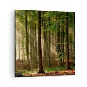 Bild auf Leinwand - Leinwandbild - Strahlend an einem Frühlingsmorgen - 50x50 cm