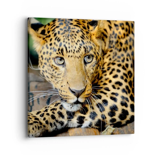 Bild auf Leinwand - Leinwandbild - Keine Angst, komm mal her - 40x40 cm