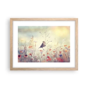 Poster in einem Rahmen aus heller Eiche - Vogelporträt mit einer Wiese im Hintergrund - 40x30 cm