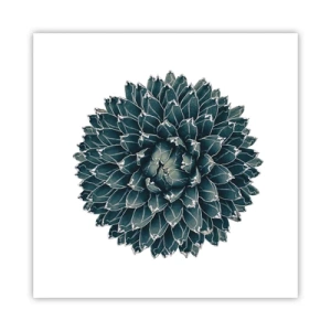 Poster - Stern der Wüste - 60x60 cm