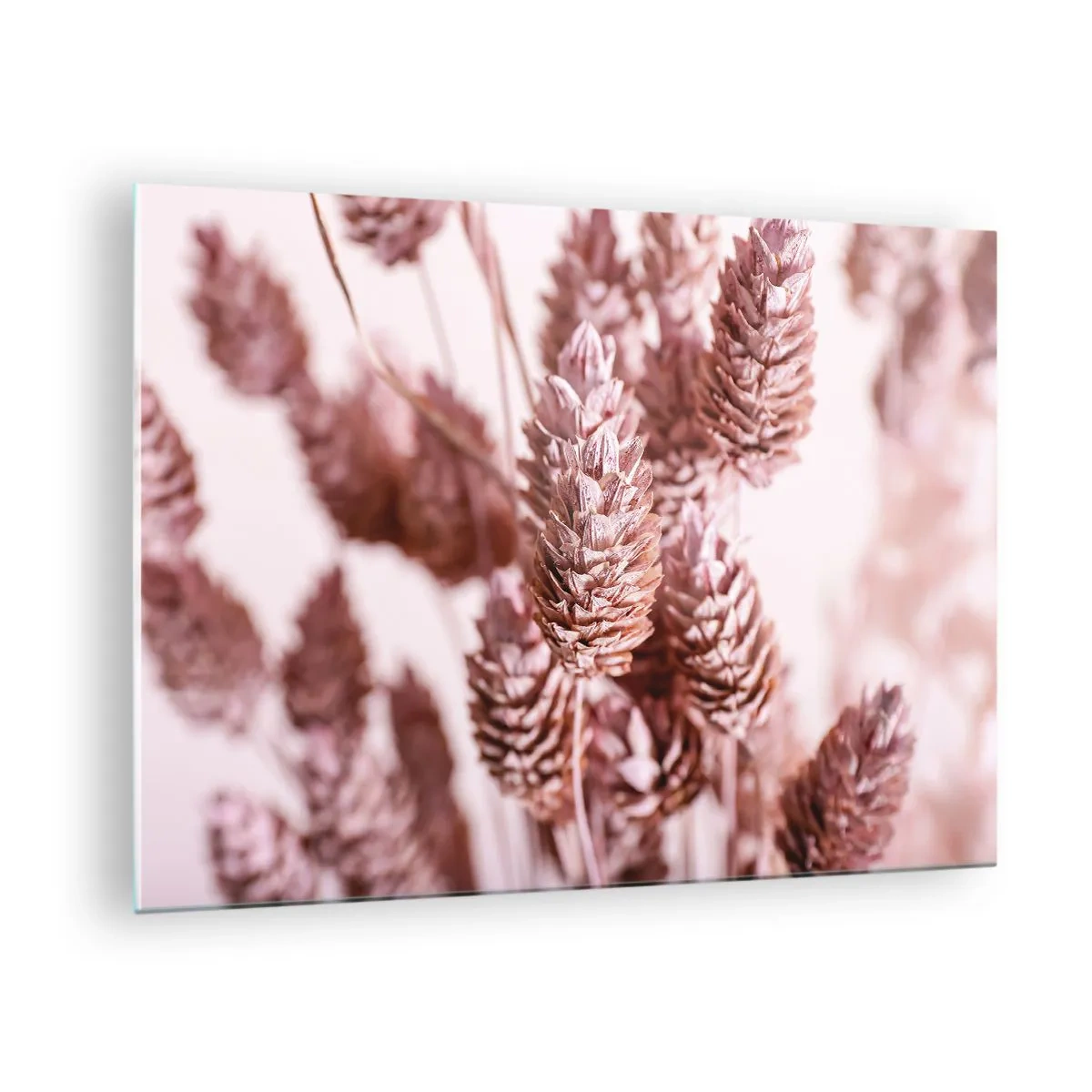 Glasbild - Bild auf glas - Getrocknete Grashalme in Puderrosa-Tönen - 70x50cm - Scheinbar unauffällig - Moderne Wanddekoration für Wohnzimmer und Schlafzimmer ARTTOR
