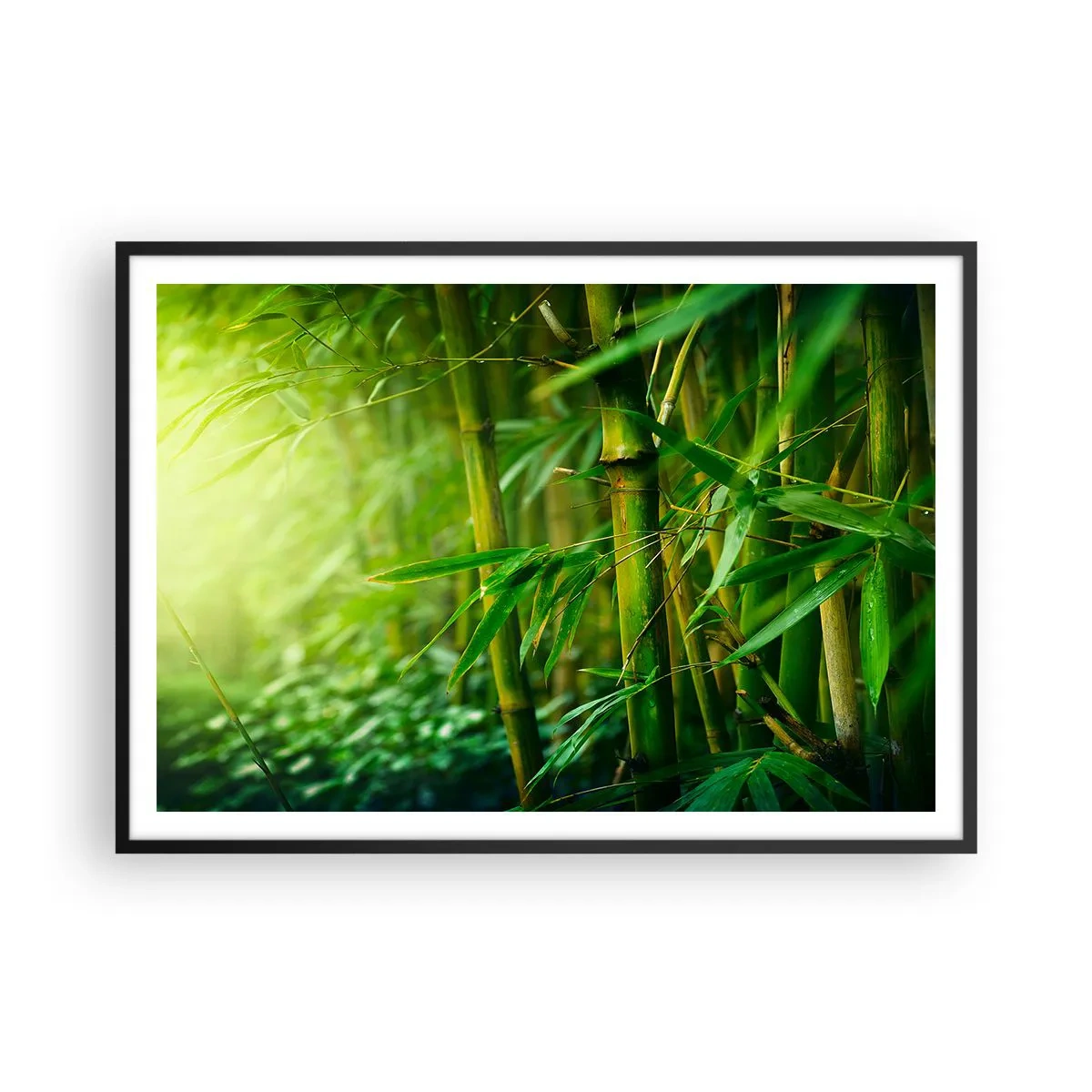 Poster in einem schwarzem Rahmen - Grüner Bambuswald in sanftem Licht - 100x70cm - Lerne Grün selbst kennen - Moderne Wanddekoration für Wohnzimmer und Schlafzimmer ARTTOR