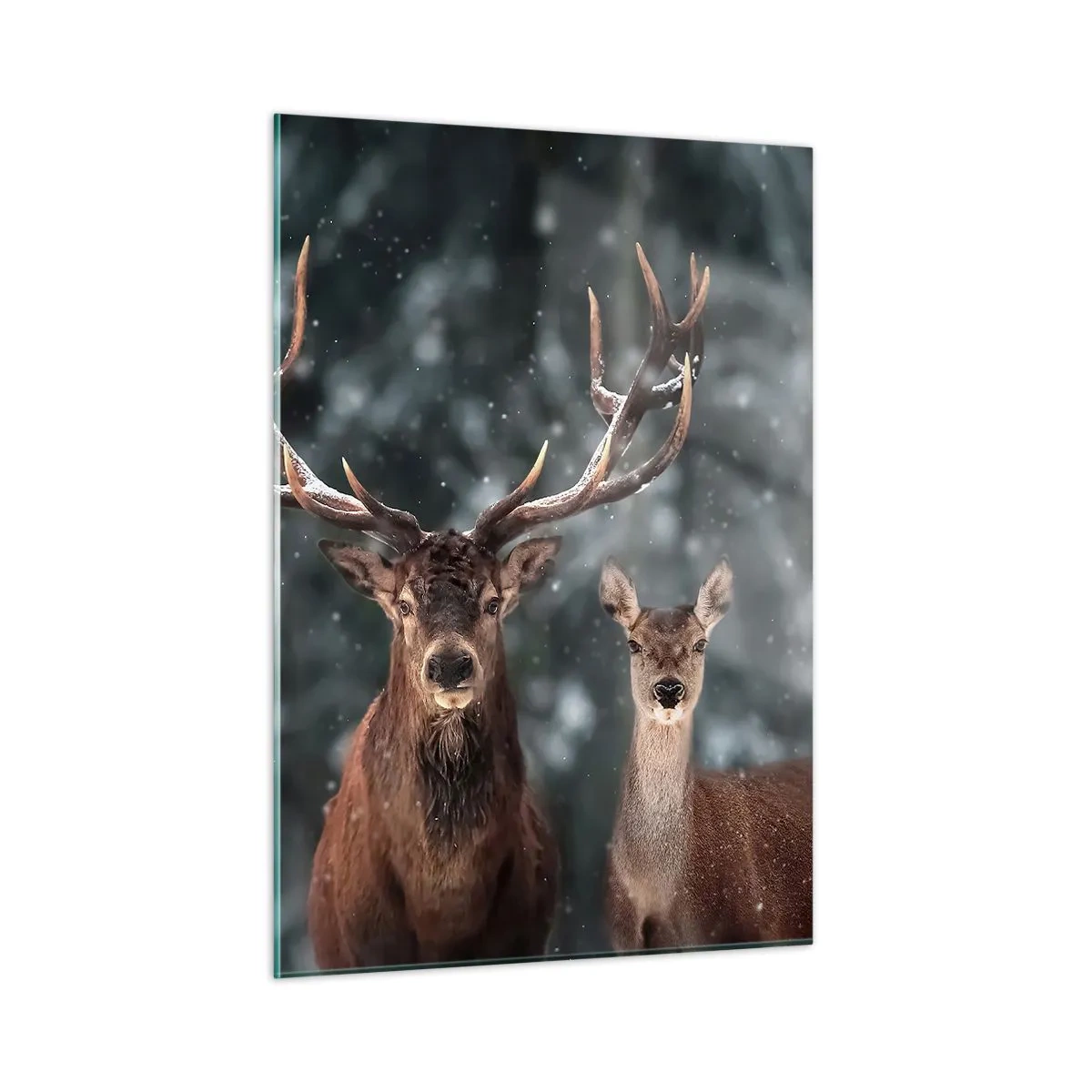 Glasbild - Bild auf glas - Ein Hirsch und eine Hirschkuh in einem schneebedeckten Winterwald - 50x70cm - Herr des Waldes mit seiner Frau - Moderne Wanddekoration für Wohnzimmer und Schlafzimmer ARTTOR