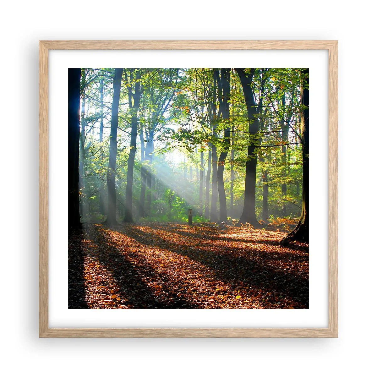 Poster in einem Rahmen aus heller Eiche - Licht und Schatten - 50x50 cm