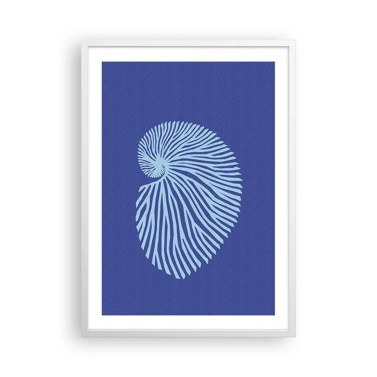 Poster in einem weißen Rahmen - Geburt der Muschel - 50x70 cm