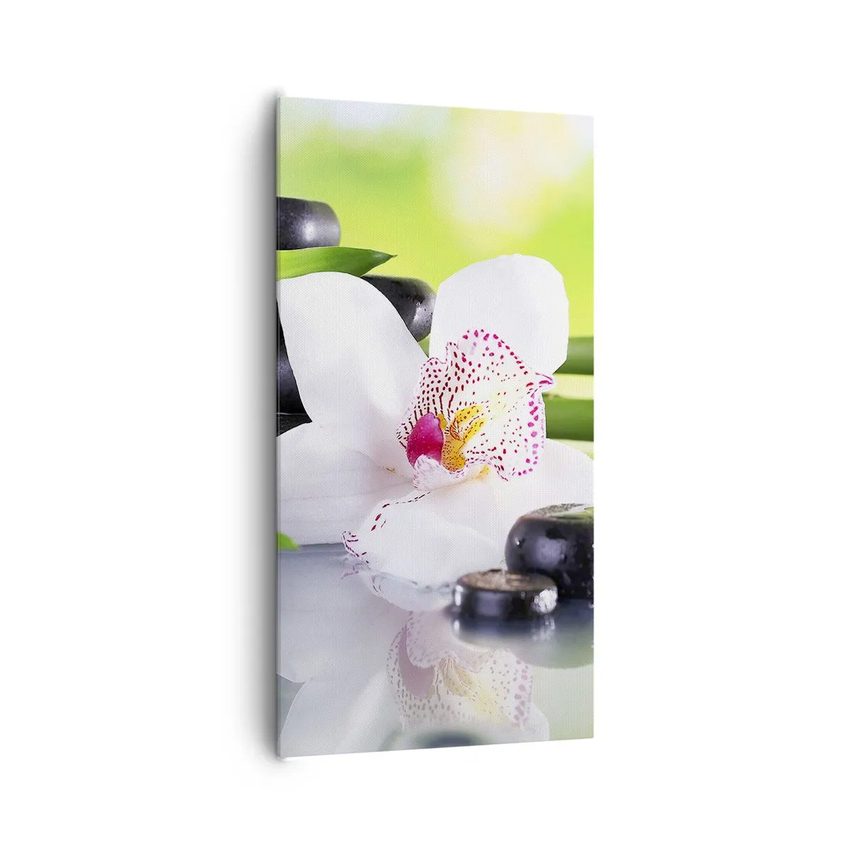 Bild auf Leinwand - Leinwandbild - Kühle Frische - 65x120 cm