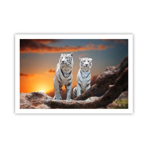 Poster - Genau wie Narnia - 91x61 cm