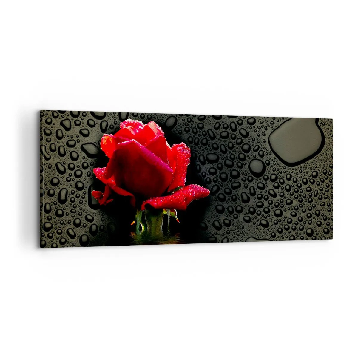 Bild auf Leinwand - Leinwandbild - Rote Rose mit Wassertropfen auf dunklem Hintergrund - 120x50cm - rot und Schwarz - Moderne Wanddekoration für Wohnzimmer und Schlafzimmer ARTTOR