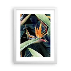 Poster in einem weißen Rahmen - Flammende Blumen der Tropen - 30x40 cm