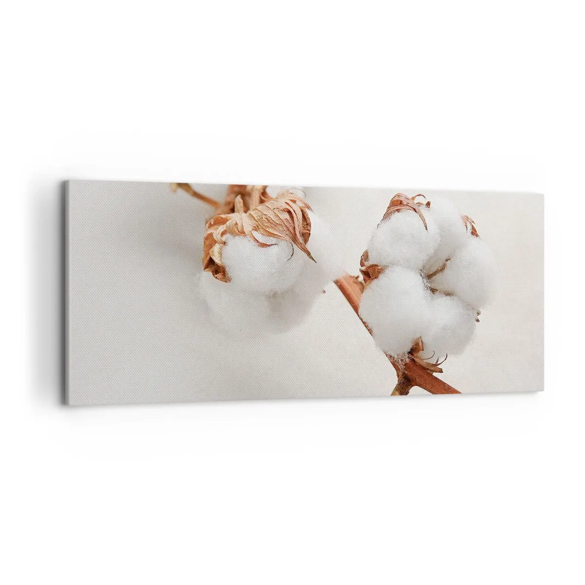 Bild auf Leinwand - Leinwandbild - Ein Zweig Baumwolle auf dezentem Untergrund - 120x50cm - Nur umarmen - Moderne Wanddekoration für Wohnzimmer und Schlafzimmer ARTTOR