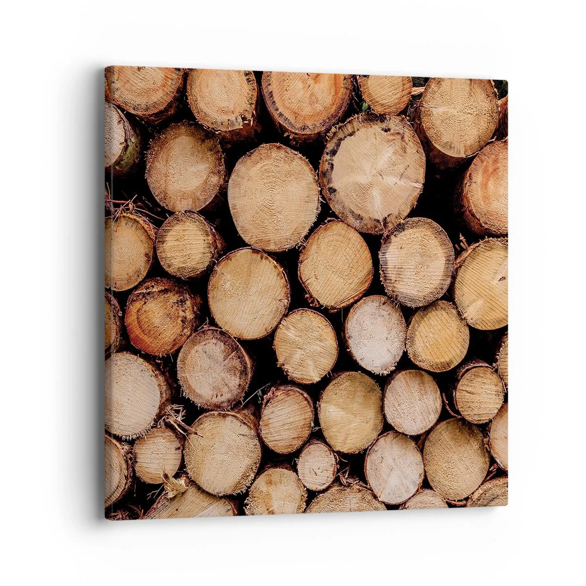 Bild auf Leinwand - Leinwandbild - Ein neuer Anfang - 40x40 cm