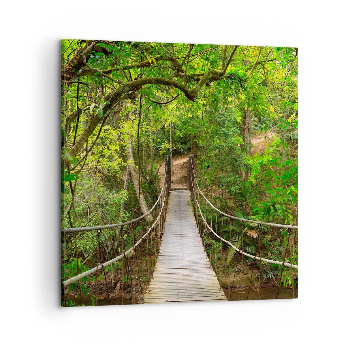 Bild auf Leinwand - Leinwandbild - Denn im Garten gibt es eine Schlingpflanze - 50x50 cm