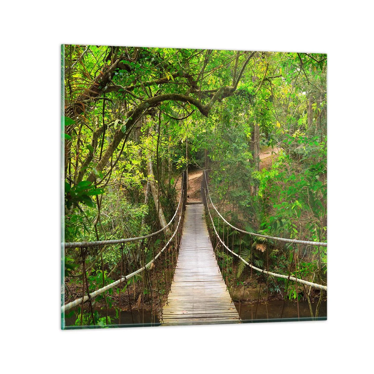 Glasbild - Bild auf glas - Denn im Garten gibt es eine Schlingpflanze - 60x60 cm