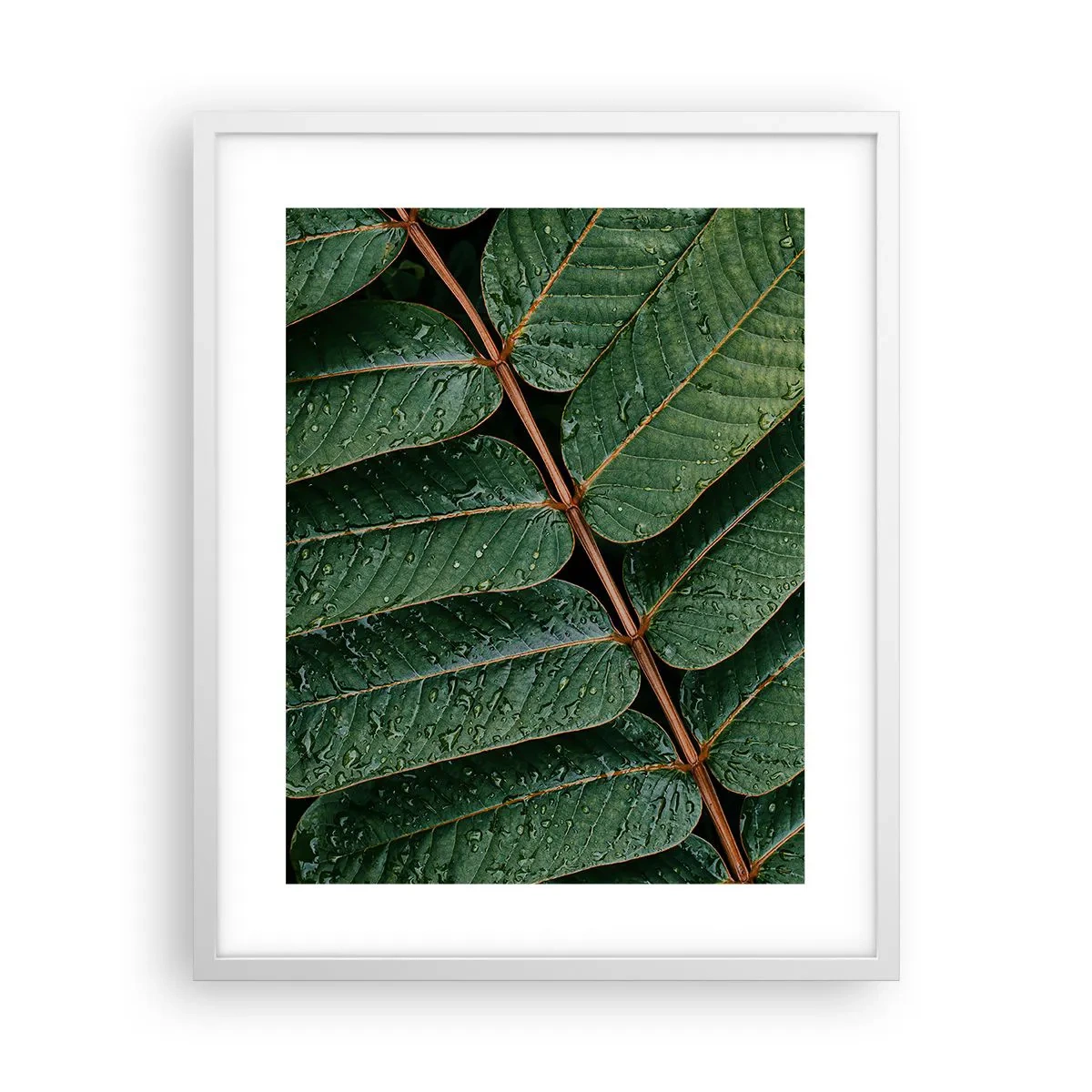 Poster in einem weißen Rahmen - Im grünen Rhythmus - 40x50 cm